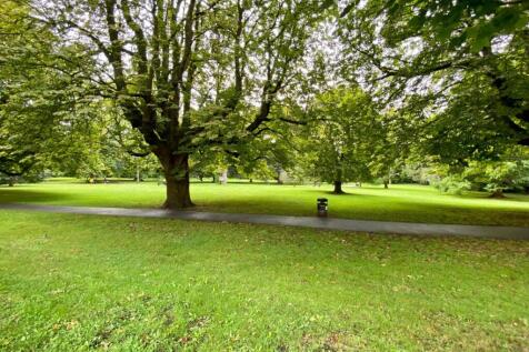 Park view.jpeg