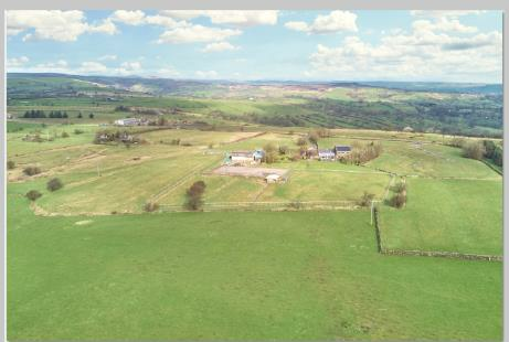 drone oak farm.png
