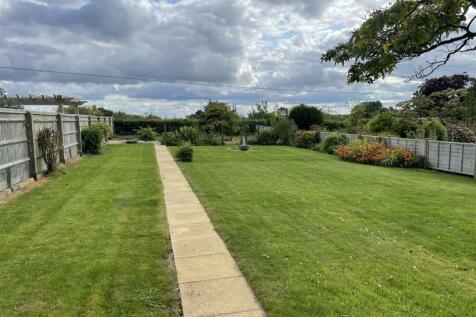 Garden.JPG