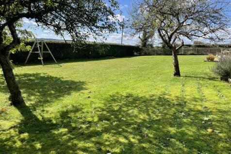 Garden 1.JPG