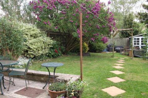 New Garden.jpg