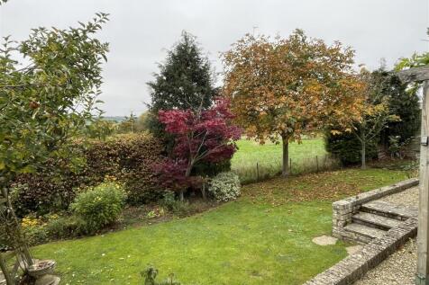 Garden 2.JPG