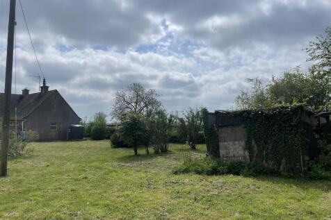 Garden.JPG