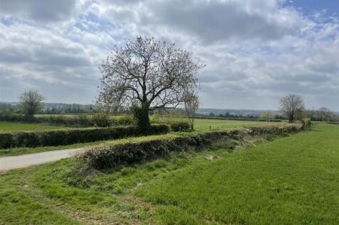View over the lane.JPG