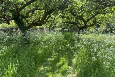 Garden 4.JPG