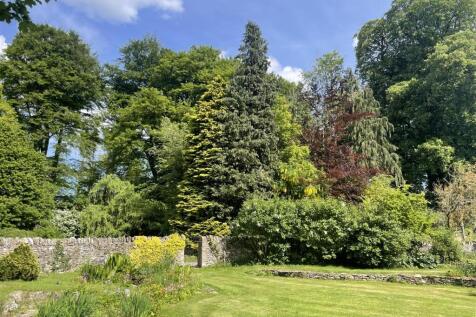 Garden 5.JPG