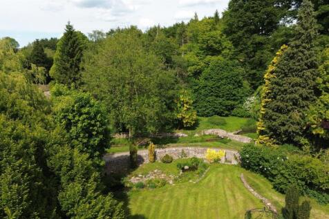Garden 6.JPG