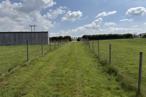 Grass Track.JPG