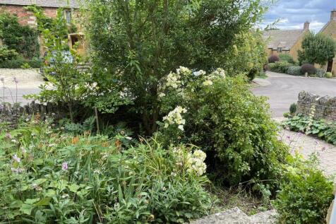 Front garden.JPG