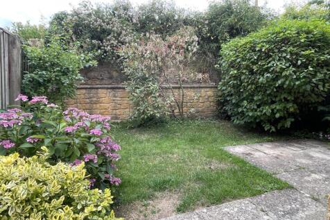 Garden.JPG