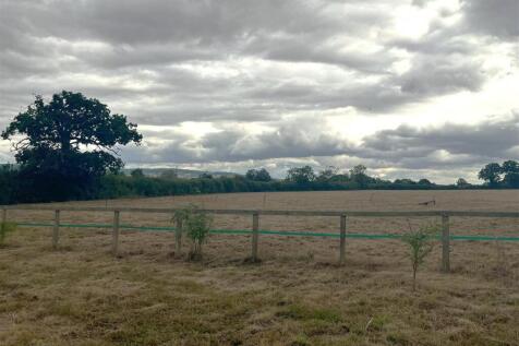 pic 2 field.jpg