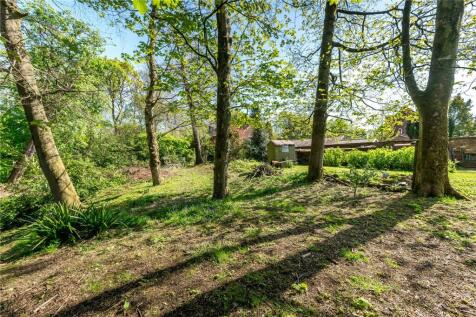 Woodland Garden