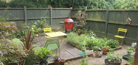 Property Image 14