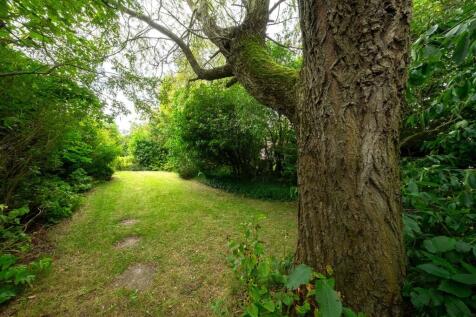 Property Image 31