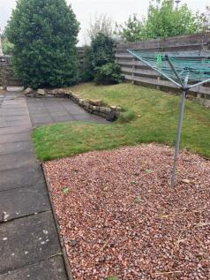garden.jpg