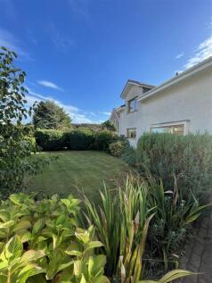 Front garden.jpg