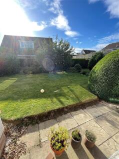 Back garden.jpg