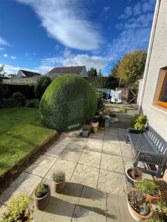 Back garden 2.jpg