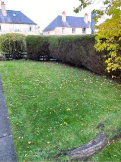 05Garden.jpg