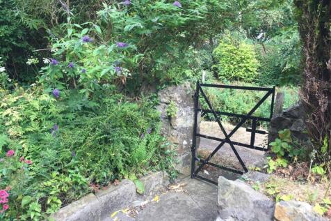 Garden 1.JPG