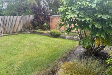 garden.jpeg