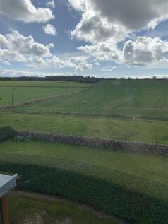 window view.JPG