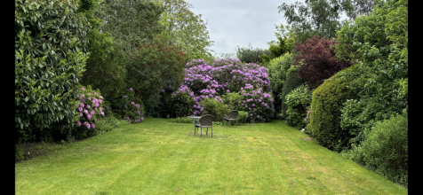 garden 2.png