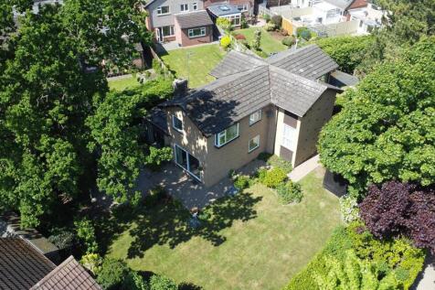 DJI_0207.jpg