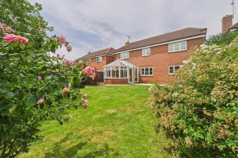 Property Image 42