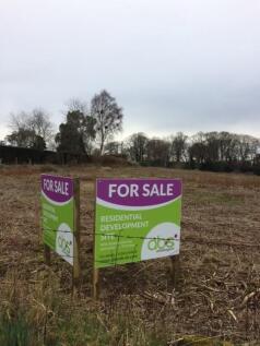 for sale sign portrait.jpg