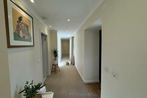 hall use.jpg