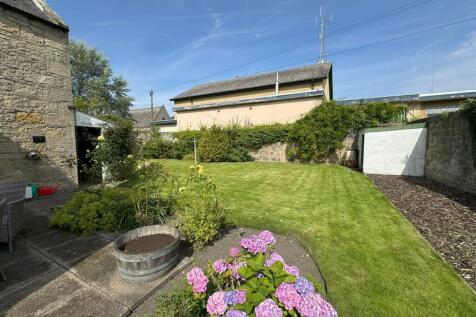rear garden.jpg