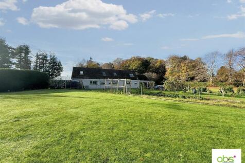 rear garden.jpg
