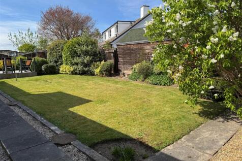 new garden 2.jpg