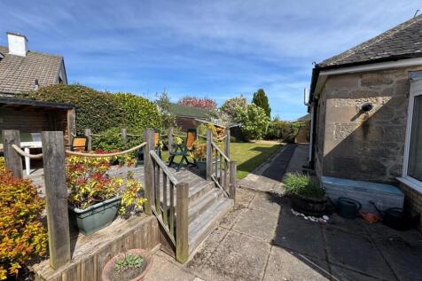 new garden.jpg