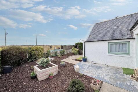 front garden.jpg