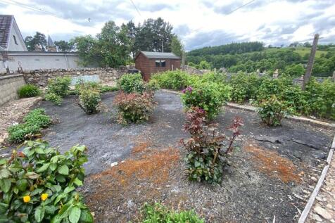 top of garden june 2.jpg