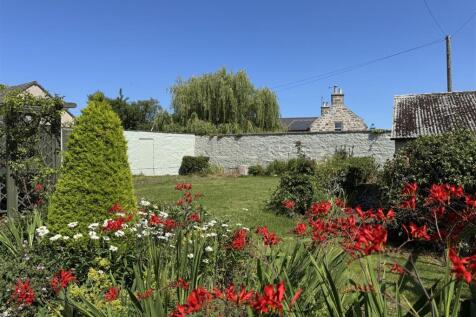 rear garden 1.jpeg