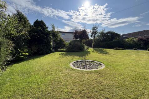 front garden.jpeg