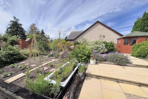 rear garden.jpg