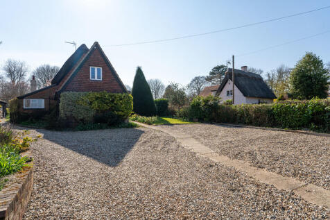 Yew Tree-17