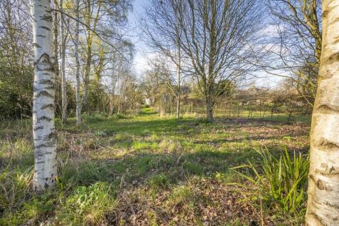 Property Image 31