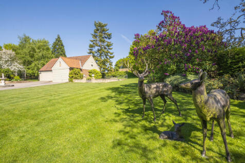 Property Image 35