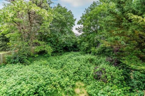 56-Ewell-Downs-Road-8.jpg