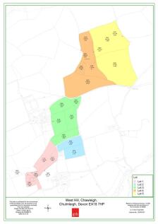 Identification Plan