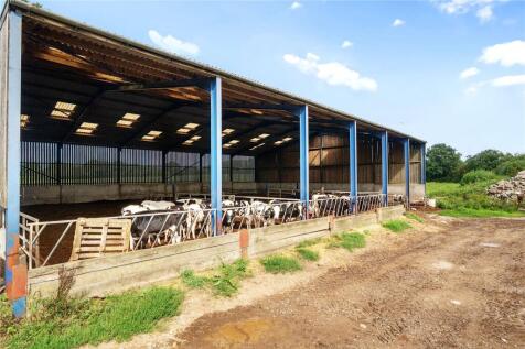 Lot 1