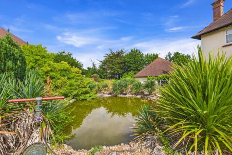 Garden Pond