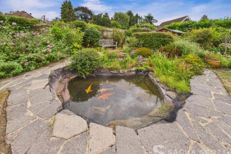 Garden Pond
