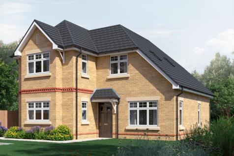 Plot 9 CGI