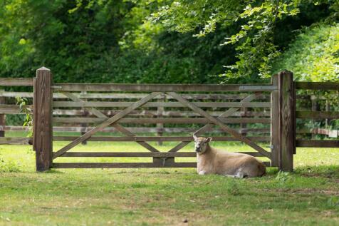 Property Image 25